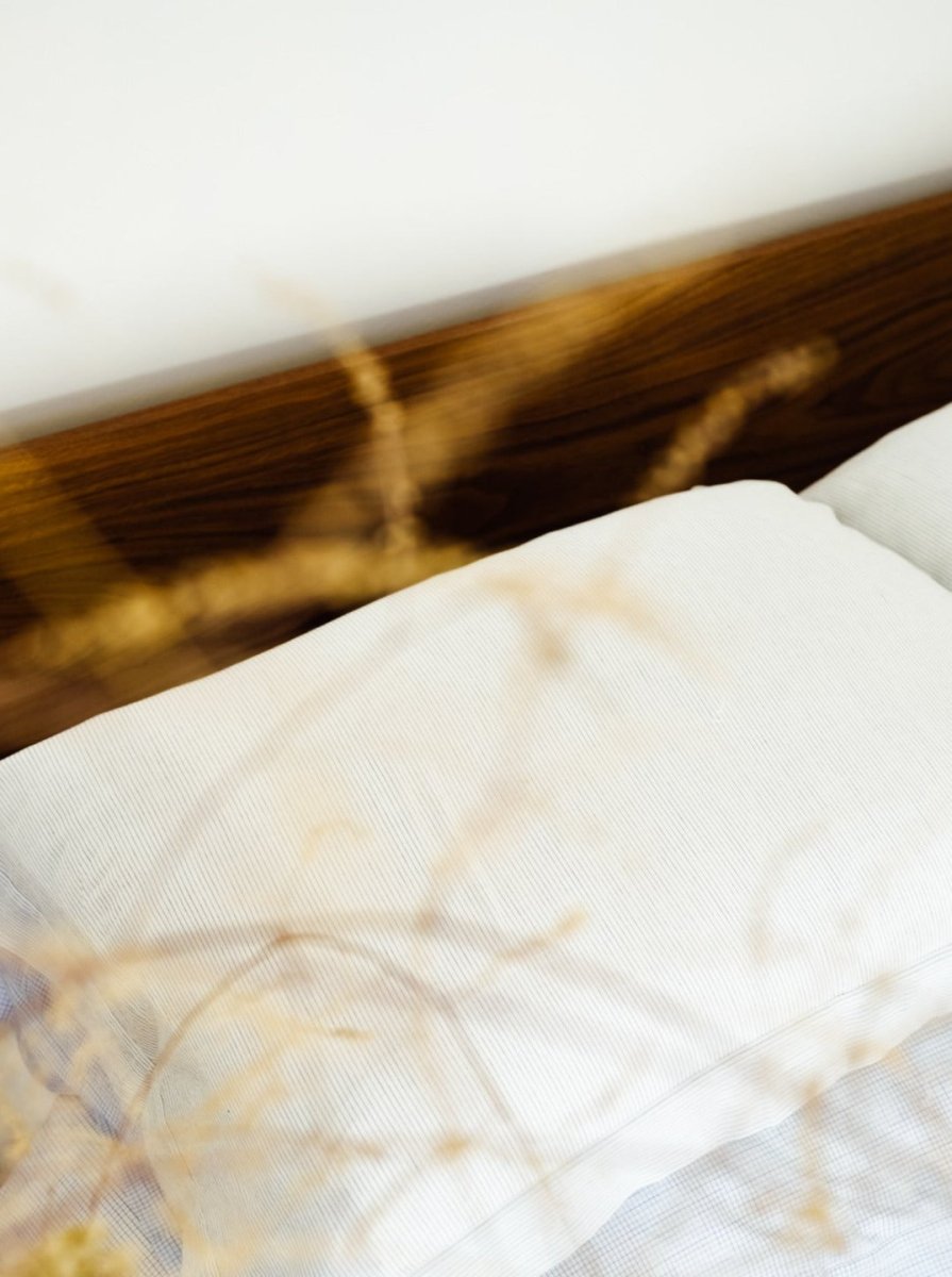 Paire de taies d'oreiller Jack - Scarlette Ateliers