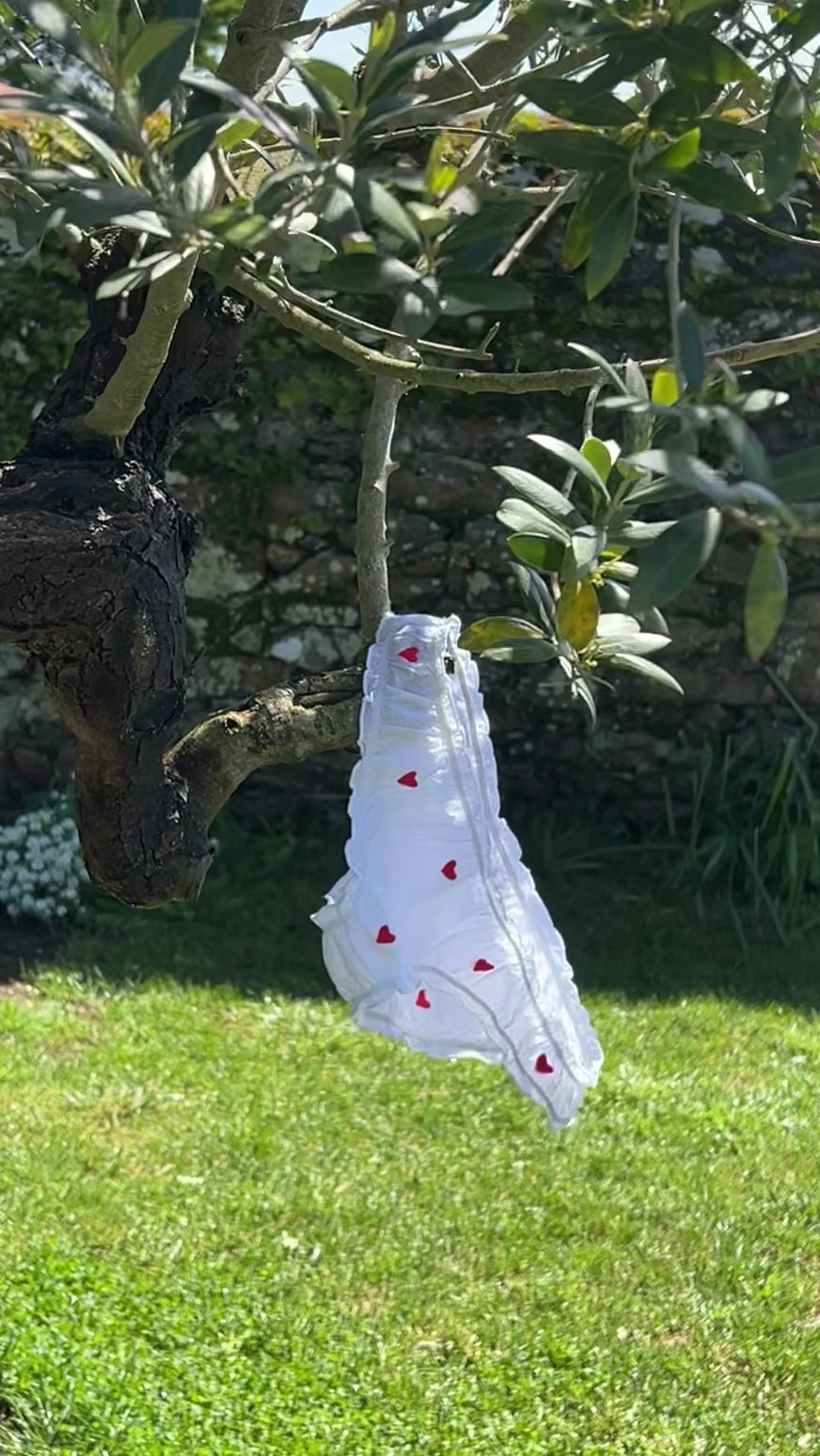 Culotte Valentine